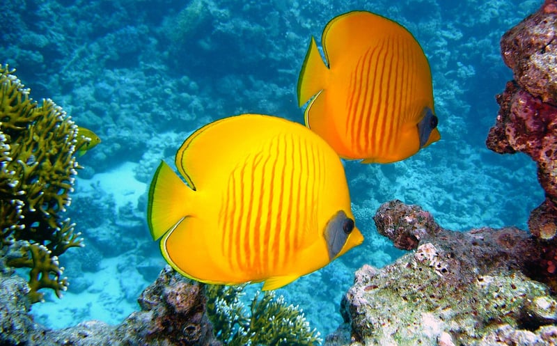 Scuba diving adventure